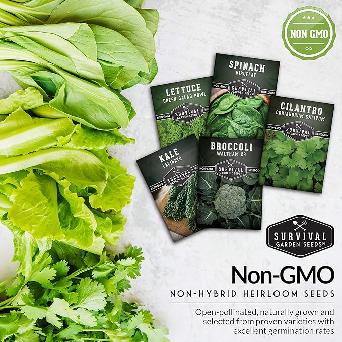 Cool Weather Garden Seeds Collection | Fall & Spring Planting – Grow Broccoli, Kale, Lettuce, Spinach & Cilantro | Cold Hardy Winter Vegetables – Survival Garden Seeds