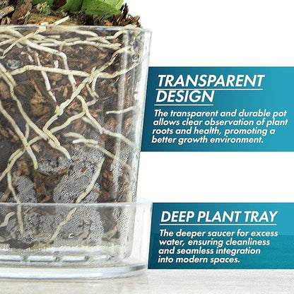 Phoenix Vine 3.5 Inch Clear Acrylic Planter Pot with Tray, Orchid Pot with Drainage Holes, Deep Saucer for Bottom Watering, Transparent Containers for Indoor Plants, Herbs, Set of 12, 91-A-D-12