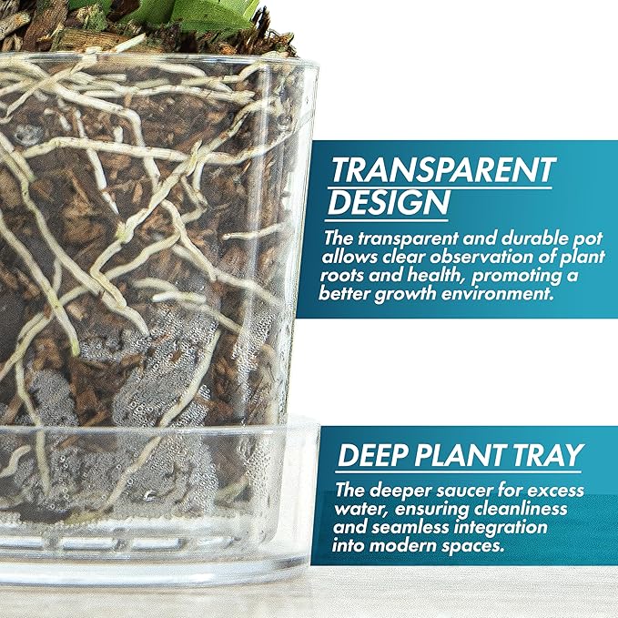 Phoenix Vine 3.5 Inch Clear Acrylic Planter Pot with Tray, Orchid Pot with Drainage Holes, Deep Saucer for Bottom Watering, Transparent Containers for Indoor Plants, Herbs, Set of 3, 91-A-D-3