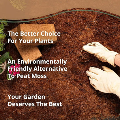 Buffered Coco Bliss (10lbs) + Char Bliss (8 Qts) - Coconut Coir Brick & Organic Biochar for Plants - Organic Coco Coir for Plants - Biochar Soil Amendment - Charcoal for Plants - Potting Soil Mix