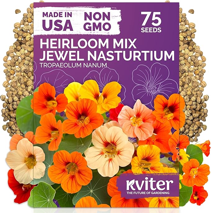 KVITER 75 Mix Jewel Nasturtium Seeds for Planting Outdoors (Tropaeolum Nanum) — Heirloom & Organic Seed Packet — Edible Flower Seeds to Plant Outside & Inside in Garden, Containers, Hanging Baskets