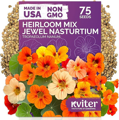 KVITER 75 Mix Jewel Nasturtium Seeds for Planting Outdoors (Tropaeolum Nanum) — Heirloom & Organic Seed Packet — Edible Flower Seeds to Plant Outside & Inside in Garden, Containers, Hanging Baskets