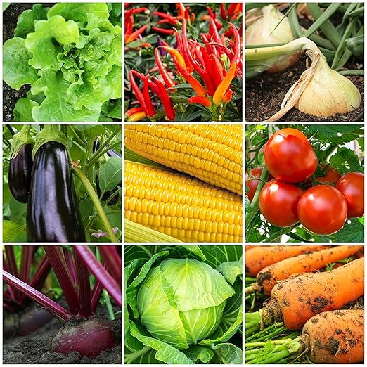 The Old Farmer's Almanac Organic Tomato & Vegetable Plant Food Fertilizer (Covers 250 Sq Ft - 2.25 Lbs)