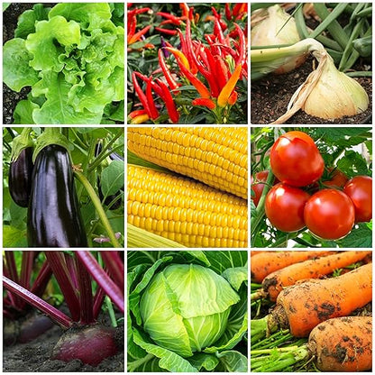 The Old Farmer's Almanac Organic Tomato & Vegetable Plant Food Fertilizer (Covers 250 Sq Ft - 2.25 Lbs)