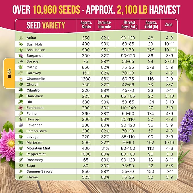 Organo Republic 25 Medicinal & Tea Herb Seeds Variety Pack for Indoor & Outdoors. 10900+ Non-GMO Heirloom Garden Seeds: Anise, Borage, Cilantro, Chamomile, Dandelion, Rosemary, Peppermint Seeds