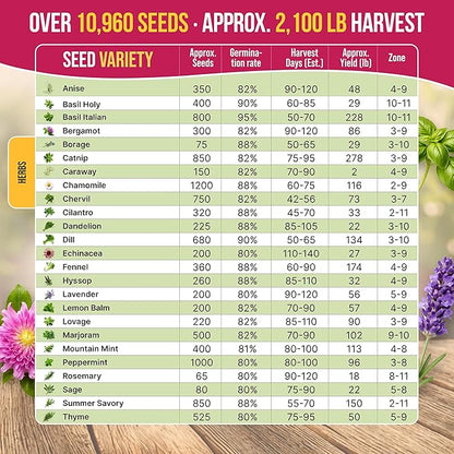Organo Republic 25 Medicinal & Tea Herb Seeds Variety Pack for Indoor & Outdoors. 10900+ Non-GMO Heirloom Garden Seeds: Anise, Borage, Cilantro, Chamomile, Dandelion, Rosemary, Peppermint Seeds