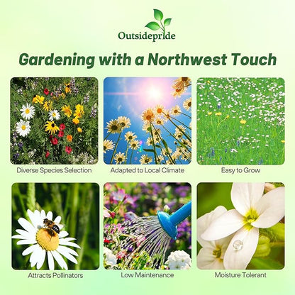 Outsidepride Northwest Wild Flower Seed Mix - 1 lb Premium Blend of Annual & Perennial Wildflower Seeds for Northwestern States - Ideal for Attracting Pollinators, Perfect for Garden Displays