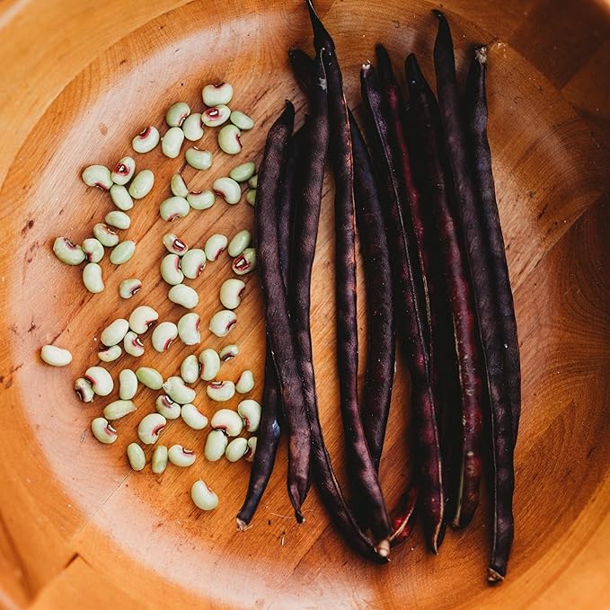 Pink-Eyed Purple Hull Cowpea - 4oz Bulk (~550 Seeds) - Heirloom Southern Field Pea Variety, USA-Grown, Non-GMO Purple Hull Pea Seeds for Planting Outdoors in The Home Garden, Thresh Seed Company