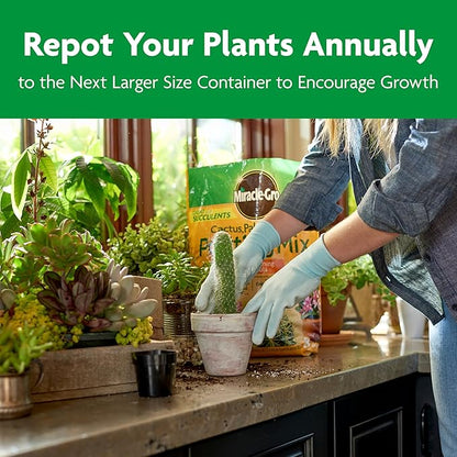Miracle-Gro Cactus, Palm and Citrus Potting Mix, For Indoor or Outdoor Potted Plants, Great for Succulents, 8 qt.