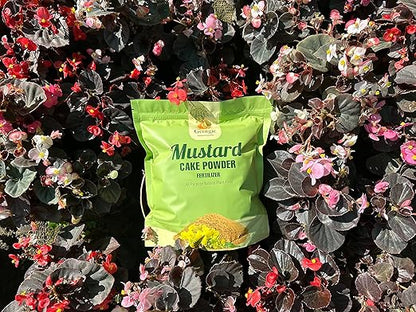 Natural Mustard Oil Cake Powder As Fertilizer for All-Purpose Fertilizer Concentrate for Flower, Vegetable, Herb, Fruit Tree (Pack of 2-6 LB)