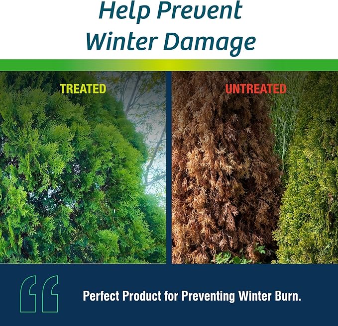 Wilt-Pruf® Concentrate | Protect Against Winter Damage, Drought, and Stress | Just Spray & Let Dry | Locks in Moisture w/Clear Foliar Film | Professional-Grade & Trusted | Replaces Burlap | (5 Gal)