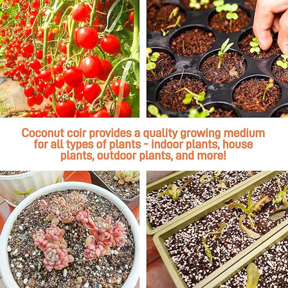 Premium Organic Coconut Coir Bricks - 6 Pack Coco Coir Bricks for Planting, Gardening, and Potting Soil Substrate. Low EC & pH Balanced 100% Organic Peat Moss Mix with Fiber from Coconut Husks