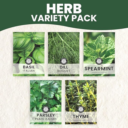 Herb Seeds | 5 Invidiual Packs | 2026 Season | Non-GMO | Basil, Dill, Spearmint, Parsley & Thyme! | for Planting Indoor & Outdoor | by Family Sown