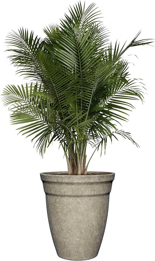 Classic Home and Garden Premiere Collection Planter, Allaire 12", Cloud Gray