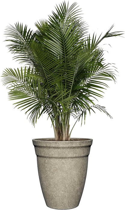 Classic Home and Garden Premiere Collection Planter, Allaire 12", Cloud Gray