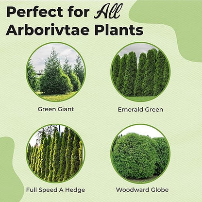 Liquid Arborvitae Fertilizer by Perfect Plants (8oz)