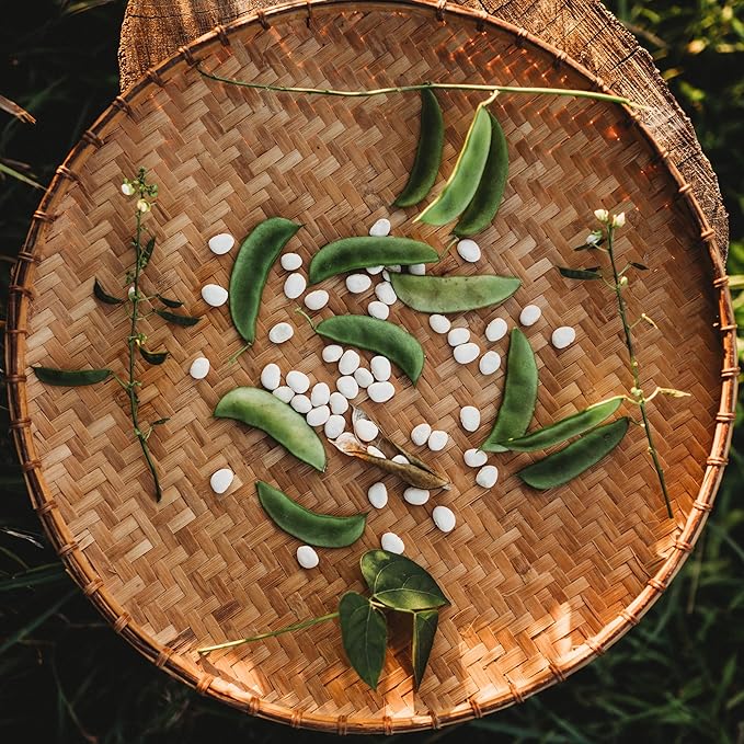 Henderson Bush Lima Bean - 50 Seeds - Heirloom White Butterbean Variety, USA-Grown, Non-GMO Baby Lima Bean Seeds for Planting Outdoors in The Home Garden, Thresh Seed Company