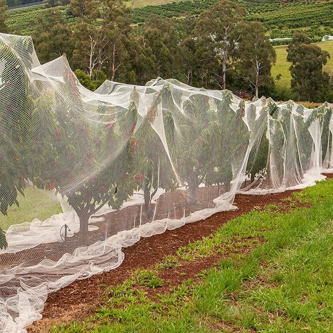 Hoolerry Mosquito Netting Ultra Fine Garden Netting Large Plant Covers Bird White Bug PE Mesh for Protecting Vegetable Fruits Flowers Tree Frost Animals(20 x 25 Ft)