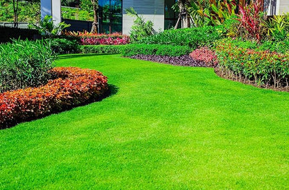 Super Absorbent Polymer Helps Plant Growth and Plant Establishment (5 Pounds)