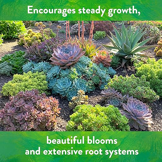 Down To Earth All Natural Fertilizers Organic Cactus & Succulent Mix - Plant Food for Cactuses, Agaves, Aloes, Jades, and Yuccas 2-4-8, 5 lb