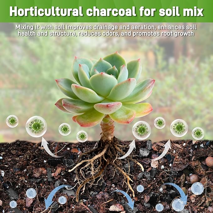 9 Quarts Horticultural Charcoal for Indoor Plants-Hardwood Potting Soil Amendment for Orchids, Succulent, Cactus, Terrariums, and Gardening