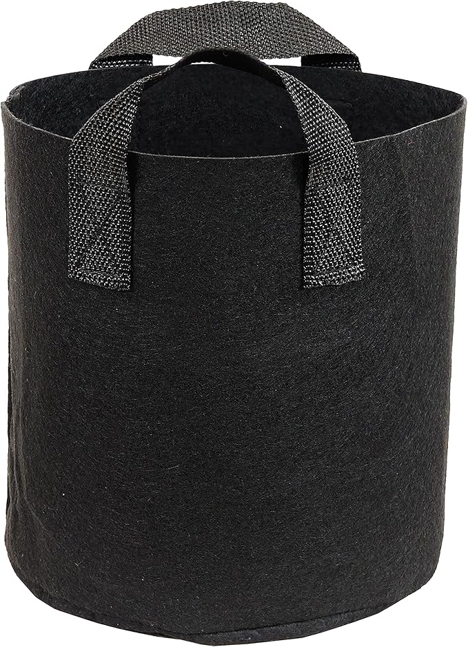 Sunnydaze 1-Pack 2-Gallon Garden Grow Bags for Vegetables - 300 GSM Non-Woven Polypropylene Felt Fabric Flower Pots and Planters with Handles - Single Gardening Container