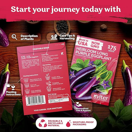KVITER 175 Long Purple Eggplant Seeds (Solanum melongena) – Asian Eggplant, Dark Purple Italian Egg Plant Seed Packets – Heirloom Vegetable Seeds for Planting Outdoors & Indoor Garden, Containers Beds