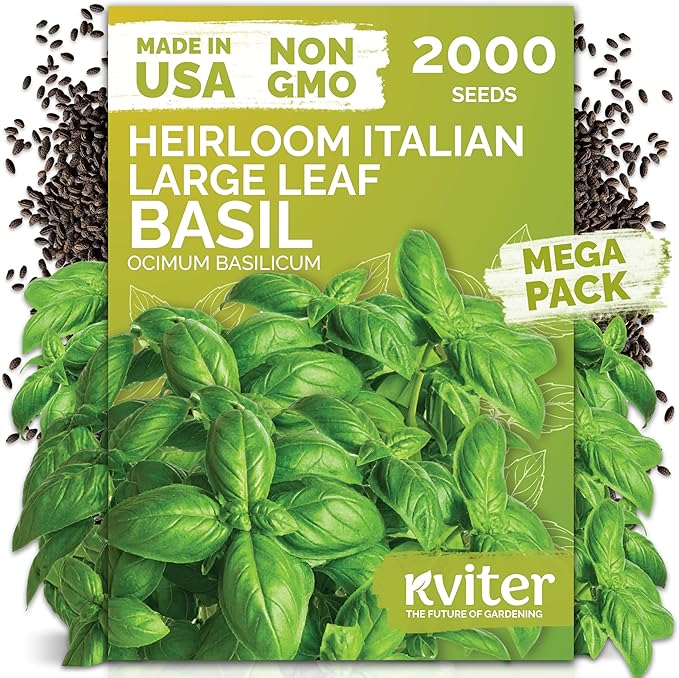 KVITER 2000 Italian Basil Seeds for Planting (Ocimum basilicum) - Sweet Genovese Basil, Heirloom & Non GMO, Classic Pesto Flavor - Herb Seeds to Plant in Containers, Outdoor & Indoor Herb Garden
