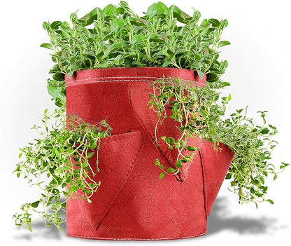 BloemBagz Big Herb Planter, 5 Gallon, Living Green