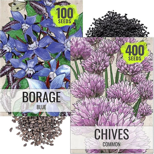 Seed Needs Borage & Chives Seeds for Planting Fresh Kitchen Herbs - Non-GMO Heirloom & Untreated Perennial Herb Seed to Plant a Culinary Garden Indoors or Outdoors (2 Packs)