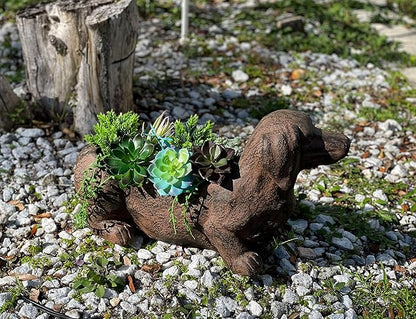 Whimsical Dachshund Dog Resin Planter: Rustic Brown Finish, Indoor-Outdoor Decor, 20 Inches Long, Weather-Resistant Succulent, Herb, and Flower Plant Pot