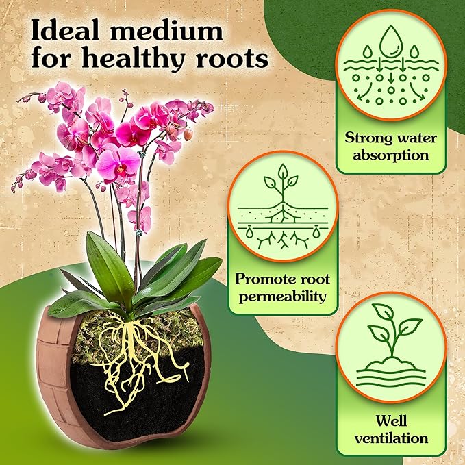 Natural Moss for Plants Indoor, Dried Moss for Potted Plants, Orchid Moss for Repotting, Forest Moss for Orchid Potting Mix, Decorative Moss Filler for Planters and Craft Moss (15oz)