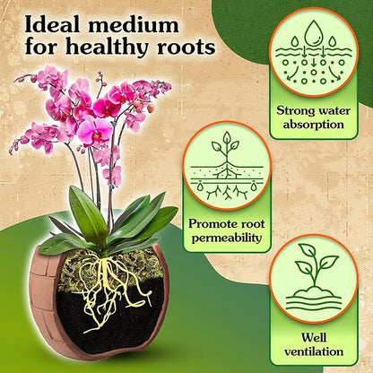 Natural Moss for Plants Indoor, Dried Moss for Potted Plants, Orchid Moss for Repotting, Forest Moss for Orchid Potting Mix, Decorative Moss Filler for Planters and Craft Moss (7oz)