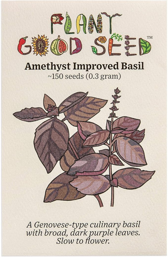 Plant Good Seed Amethyst Basil Seeds for Planting: Culinary Herb, Purple Leaves - 150 Seed Packet
