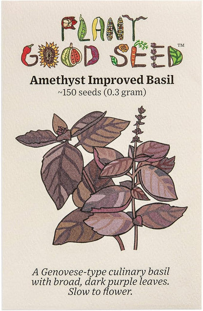 Plant Good Seed Amethyst Basil Seeds for Planting: Culinary Herb, Purple Leaves - 150 Seed Packet