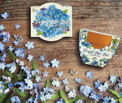 BUZZY Seeds Mini Terracotta Pots 12-Pack Daydream Forget-Me-Not Flowers, All-in-One Seed Starter Kits, Indoor Outdoor Gardening Gift, Wedding Favors, Seeds for Planting Flowers