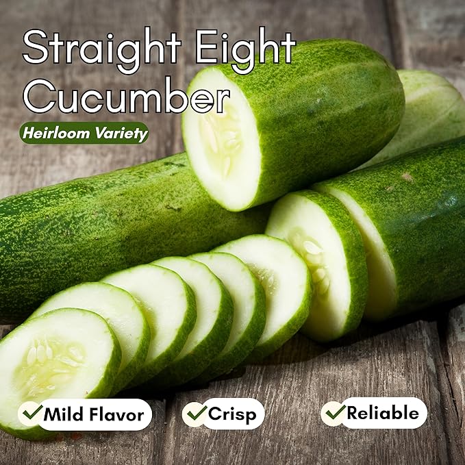 Straight Eight Cucumber Seeds for Planting - Heirloom, Non-GMO Slicing Cucumber Seeds for Outdoor Gardens, Crisp Straight Cucumbers for Fresh Eating | Woods Creek Seeds