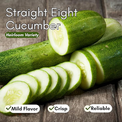 Straight Eight Cucumber Seeds for Planting - Heirloom, Non-GMO Slicing Cucumber Seeds for Outdoor Gardens, Crisp Straight Cucumbers for Fresh Eating | Woods Creek Seeds