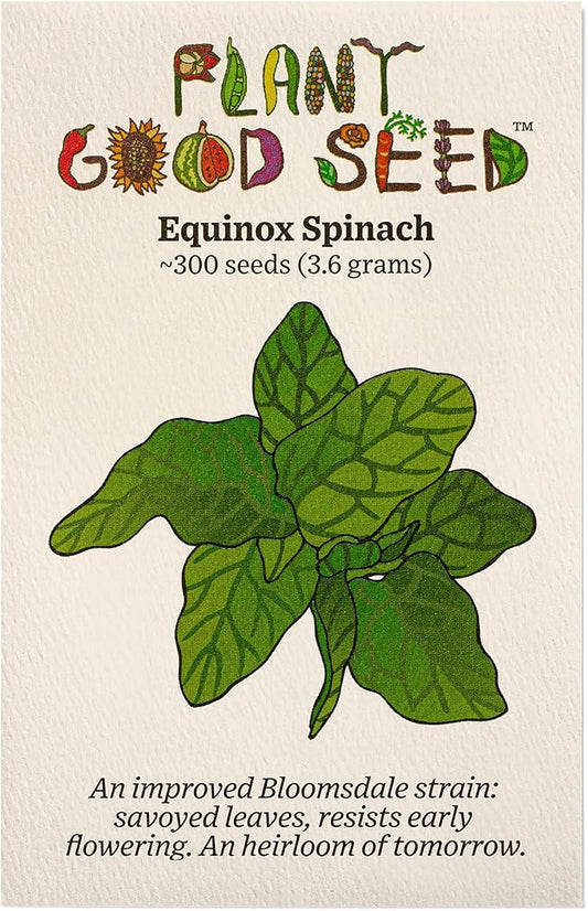 Plant Good Seed Organic Equinox Spinach Seeds - Pack of 300, Heirloom Seeds for Planting Vegetables - Gardening Supplies, Vegetable Garden - Non-GMO, Open Pollinated, from USA