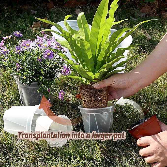 Clear Nursery Pots with Drainage, 10 Pack Transparent Plastic Orchid Planters, 6 Sizes Plant Pots 9.5/8.5/7/6/4.7/4 Inch with 10 Plant Labels for Seedlings, Succulents, Indoor/Outdoor Repotting