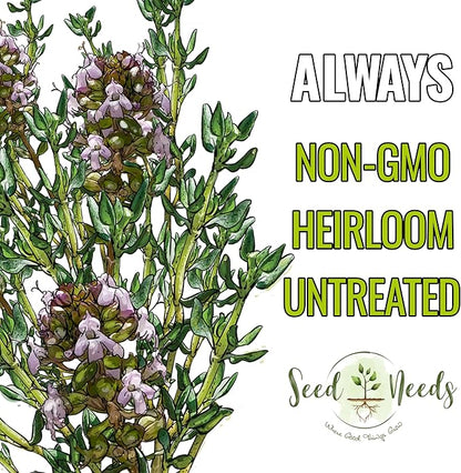 Seed Needs Thyme Seeds for Planting - Non-GMO Heirloom & Untreated Perennial Herb Seed to Plant a Culinary Kitchen Garden Indoors or Outdoors (2 Packs)