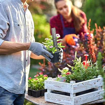 Relaxdays Plant Stakes, Set of 10, Garden & Herb Bed, Plant Signs for Labelling, 20 x 3 cm, Slate, Anthracite