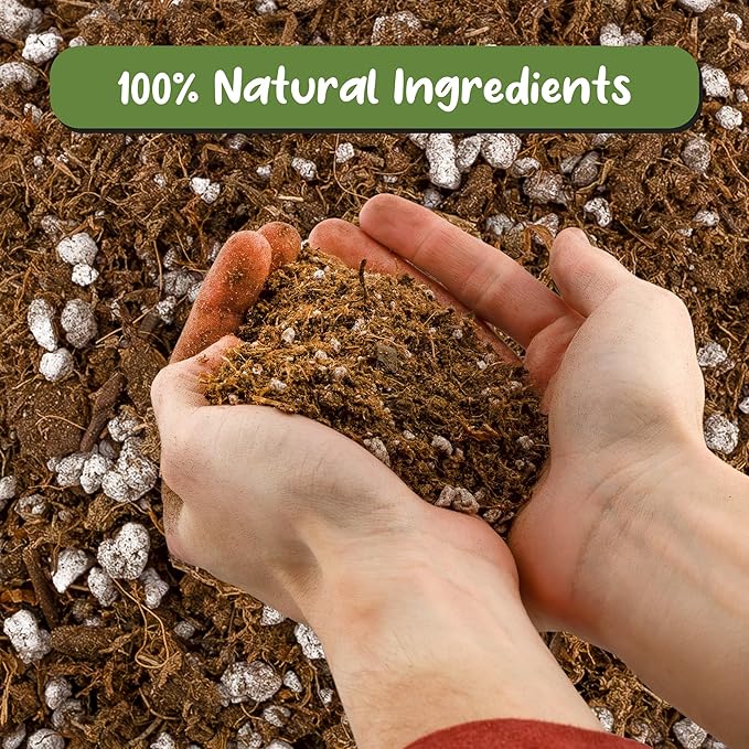 Soil Sunrise Carnivorous Plant Potting Soil Mix (1 Quart) Ideal Additive for Venus Fly Traps, Sundews, and Pitcher Plants