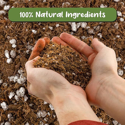 Soil Sunrise Carnivorous Plant Potting Soil Mix (1 Quart) Ideal Additive for Venus Fly Traps, Sundews, and Pitcher Plants
