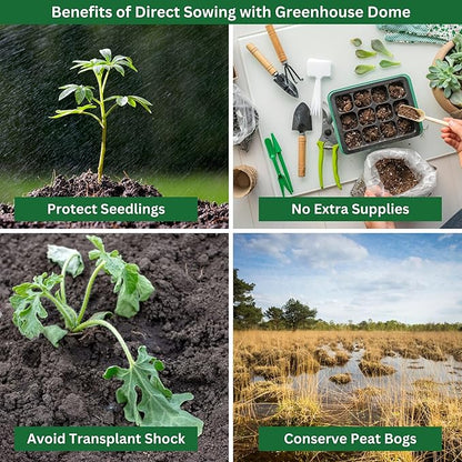Kids Cucumber Garden Kit – Grow Your Own Cucumbers from Seeds with Greenhouse Germination Domes & Grow Rings, Non-GMO Seeds, BPA-Free | Gardening Gift for Kids & Families, Made in USA
