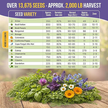 Organo Republic 30 Medicinal Tea Herb & Flower Seeds Variety Pack - 13600+ Non-GMO Heirloom Flower Seeds for Outdoor & Indoor Garden, Including Bergamot, Catnip, Calendula, Dandelion, Lovage, Zinnia