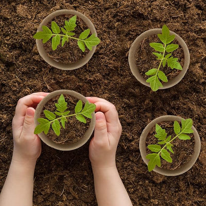 160 Pieces Peat Pots Seed Starters 4 Inch Peat Pots Round Biodegradable Seed Starting Pots with 160 Plant Labels, Planter Nursery Pots with Drainage Holes for Vegetable Seed