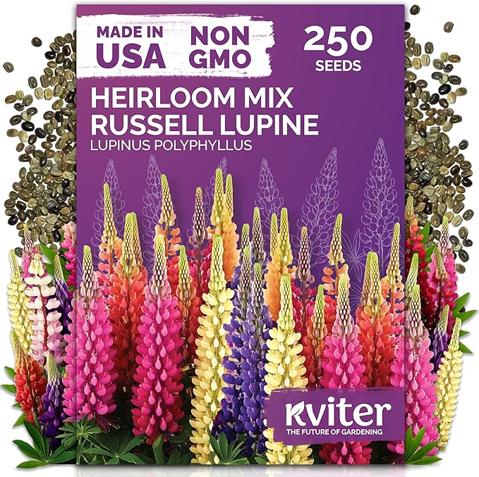 KVITER 250 Mix Russell Lupine Seeds Perennial (Lupinus polyphyllus) - Heirloom & Non GMO Lupine Seed Packets, Pollinator Friendly Wildflowers Mix - Flower Seeds for Planting in Garden, Beds & Meadows