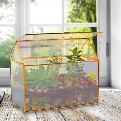 D'Eco Iridescent Glass House Centerpiece (10x6x8) - Table Planter Terrarium - Valentine's Day Home Decor & Wedding Letterbox - Fill with Succulents, Moss, Roses & Chocolates - Valentines Gift for Her