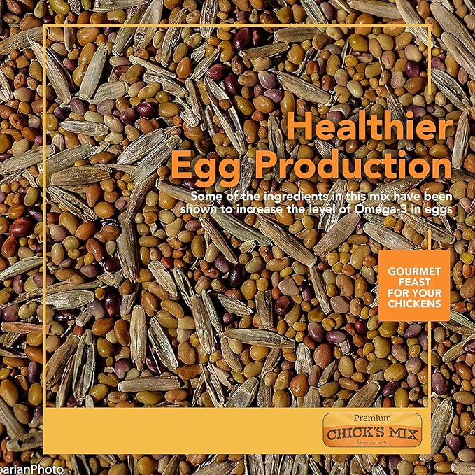 Barenbrug Premium Free Range Chicks Mix Forage Seed Mixture, 1 lb, Pack of 2